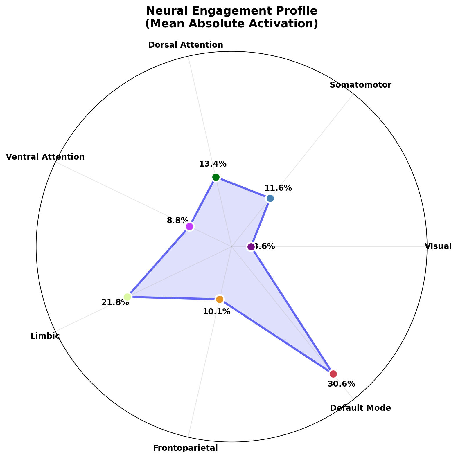 Per-content neural profile radar