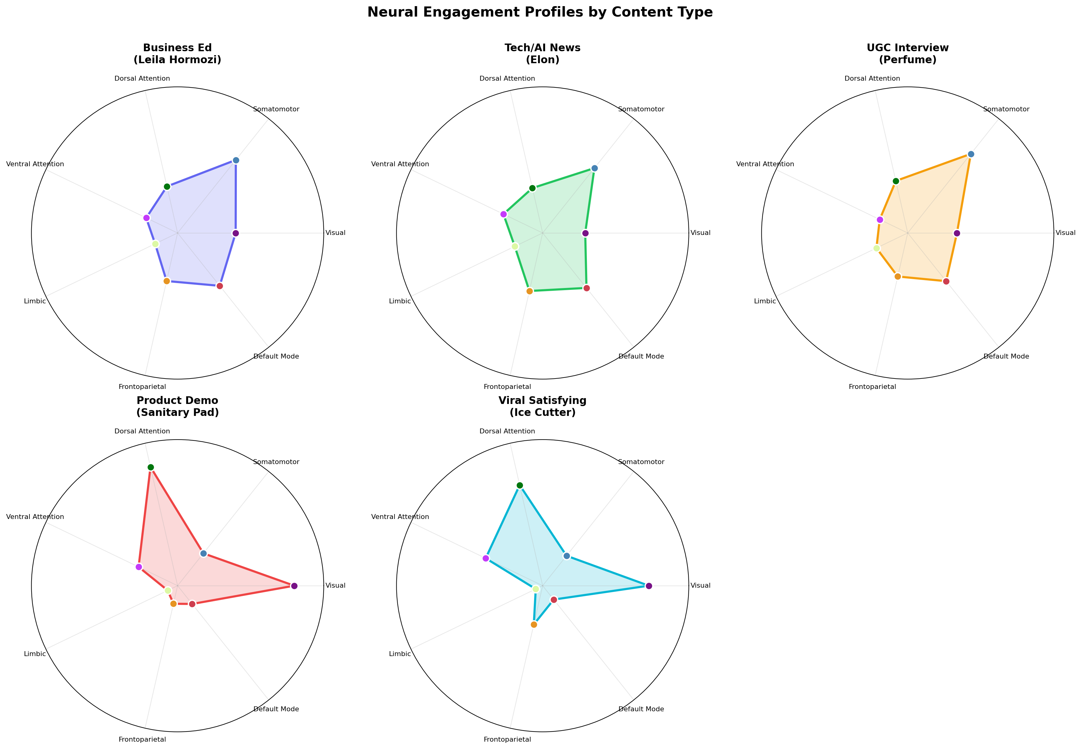 Per-content neural profile radar grid