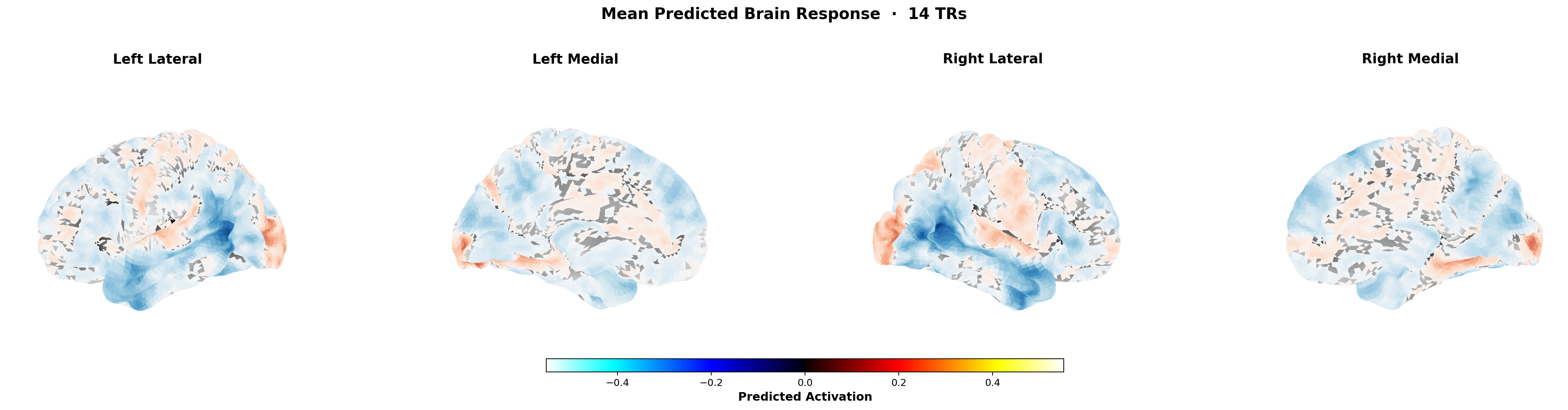 Example predicted cortical activation map output by TRIBE v2