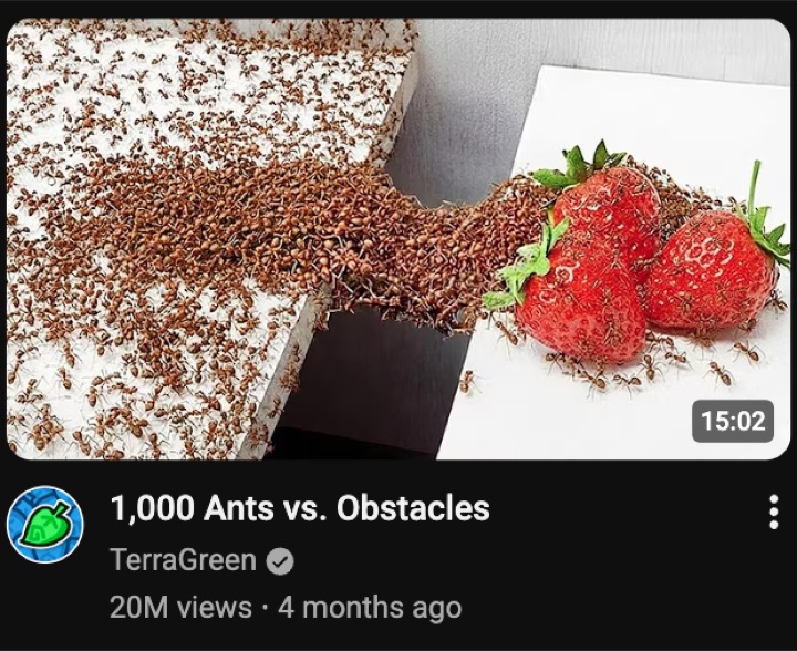1,000 Ants vs Obstacles